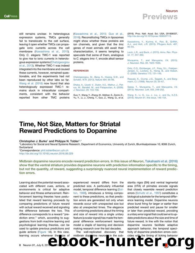 Time, Not Size, Matters for Striatal Reward Predictions to Dopamine by Christopher J. Burke & Philippe N. Tobler