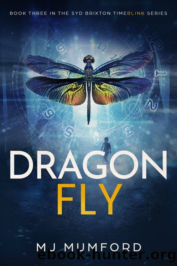 TimeBlink: Dragonfly by MJ Mumford
