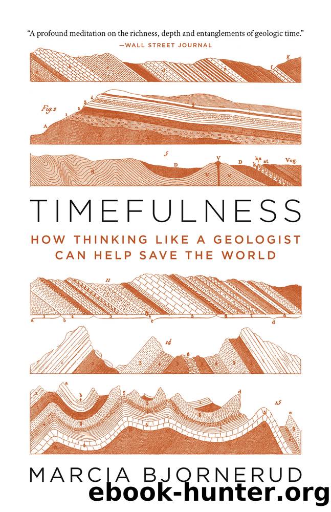 Timefulness: How Thinking Like a Geologist Can Help Save the World by Marcia Bjornerud