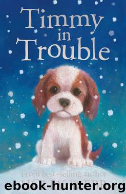 Timmy in Trouble by Holly Webb