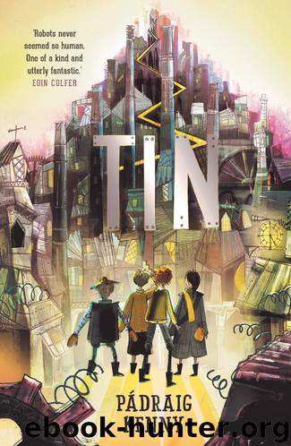 Tin by Padraig Kenny