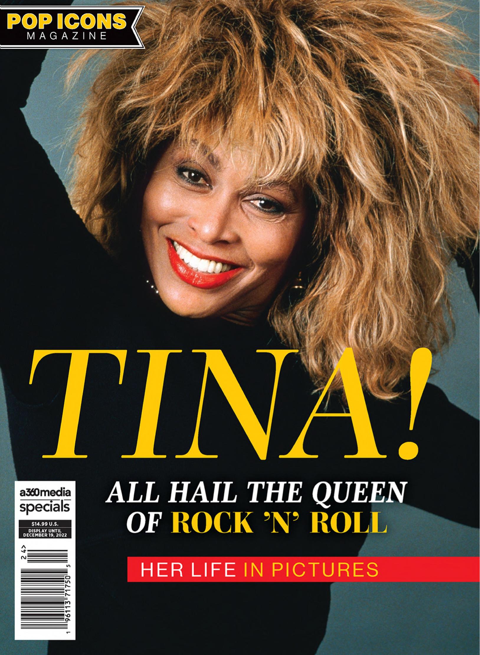 Tina Turner by Unknown