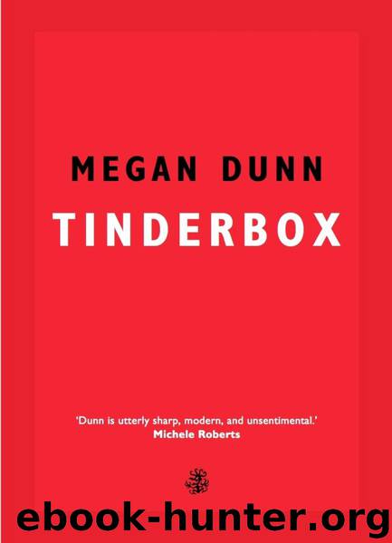 Tinderbox by Megan Dunn