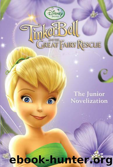 Tinker Bell and the Great Fairy Rescue by Disney Book Group