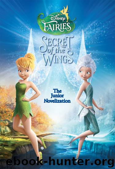 Tinker Bell: Secret of the Wings Junior Novel by Disney Book Group