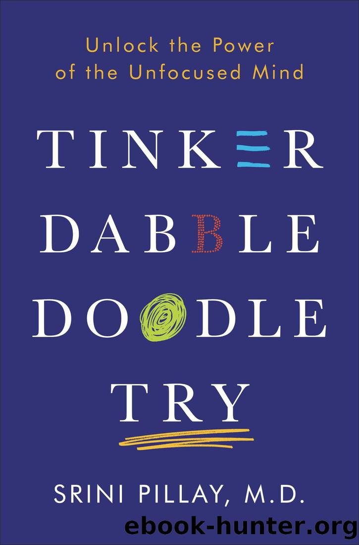 Tinker Dabble Doodle Try by Srini Pillay M.D