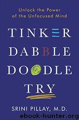 Tinker Dabble Doodle Try: Unlock the Power of the Unfocused Mind by Srini Pillay