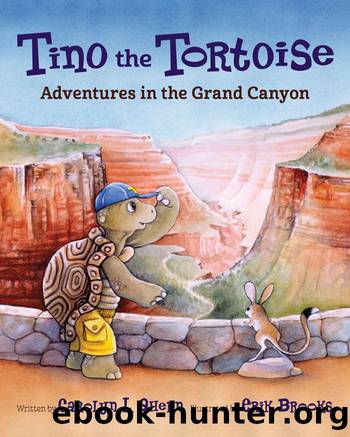 Tino the Tortoise by Carolyn L. Ahern
