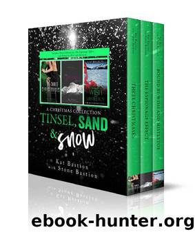 Tinsel, Sand & Snow: A Christmas Collection by Bastion Kat & Bastion Stone