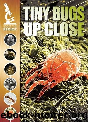 Tiny Bugs Up Close by Janey Levy