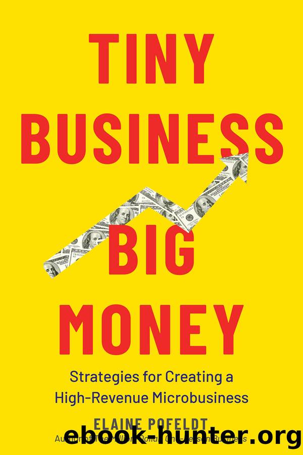 Tiny Business, Big Money by Elaine Pofeldt