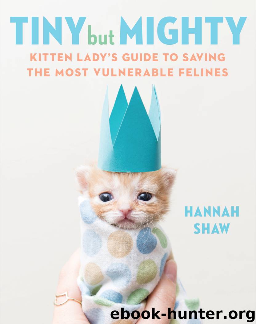 Tiny But Mighty by Hannah Shaw