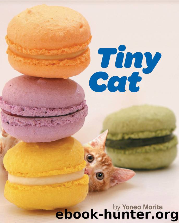 Tiny Cat by Yoneo Morita