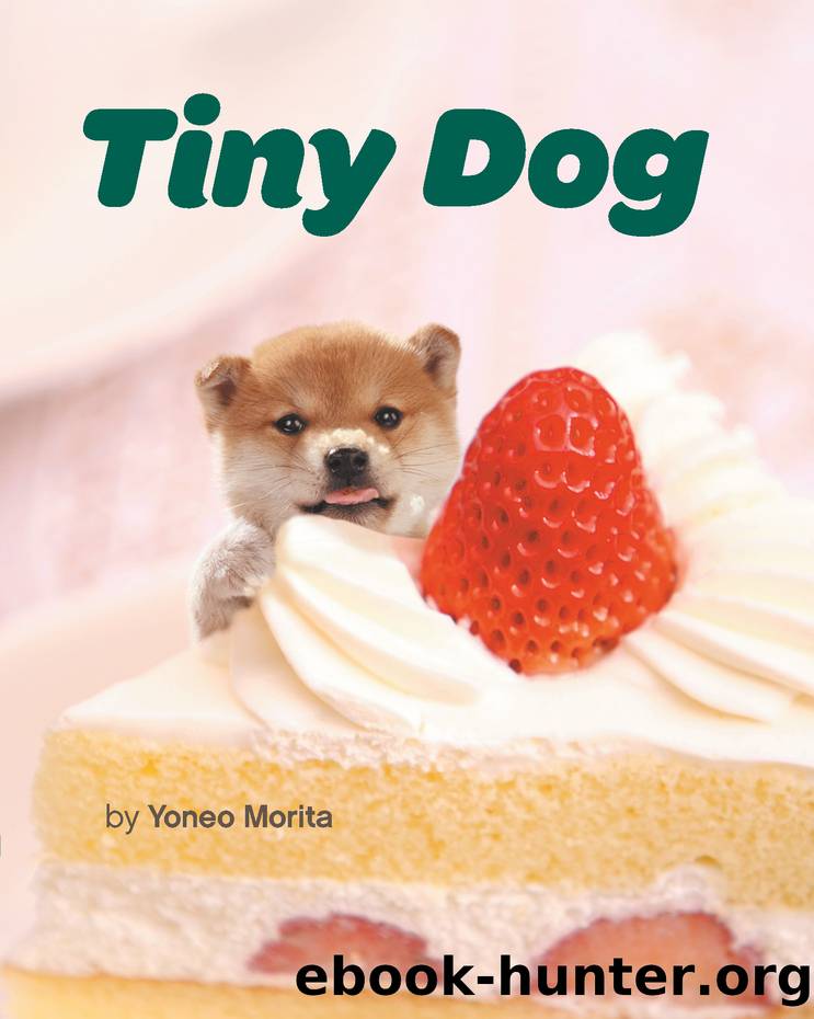 Tiny Dog by Yoneo Morita