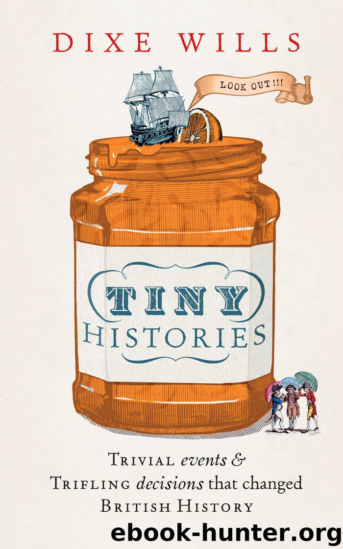 Tiny Histories by Dixe Wills