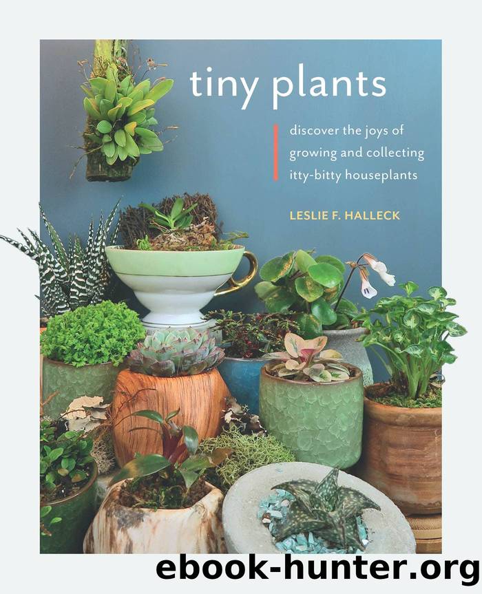 Tiny Plants by Leslie F. Halleck