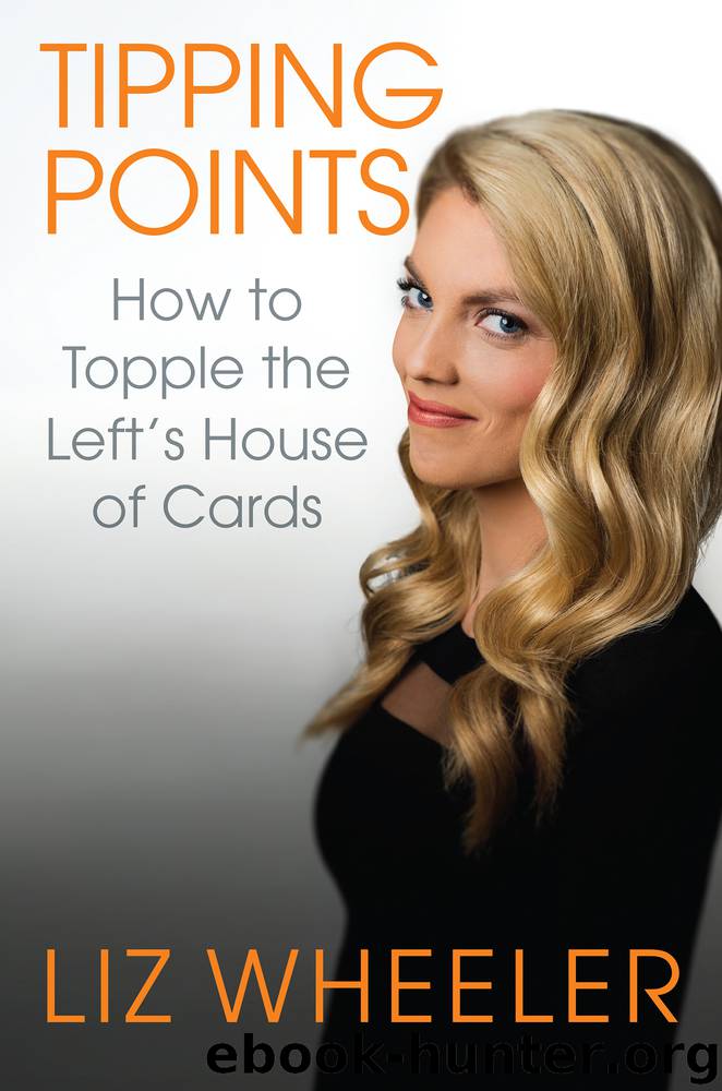Tipping Points by Liz Wheeler