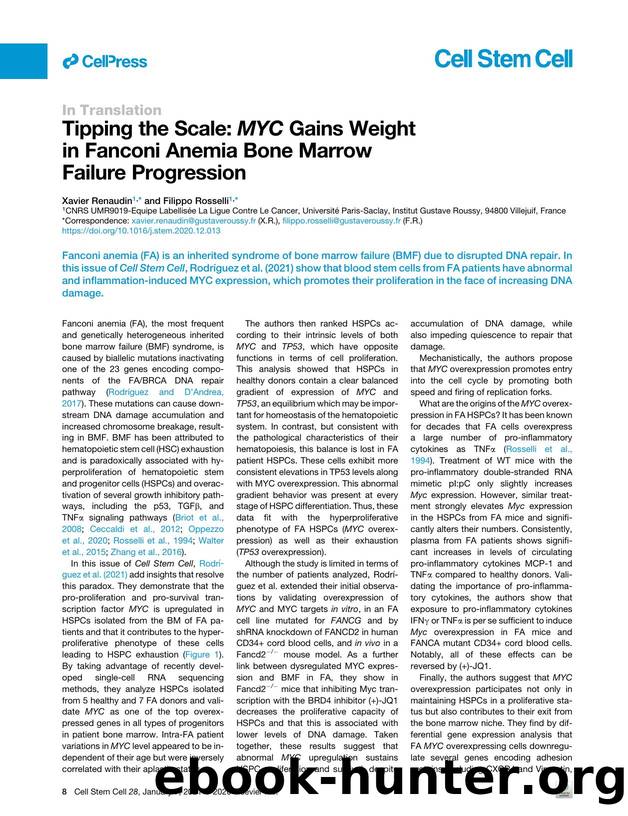 Tipping the Scale: MYC Gains Weight in Fanconi Anemia Bone Marrow Failure Progression by Xavier Renaudin & Filippo Rosselli