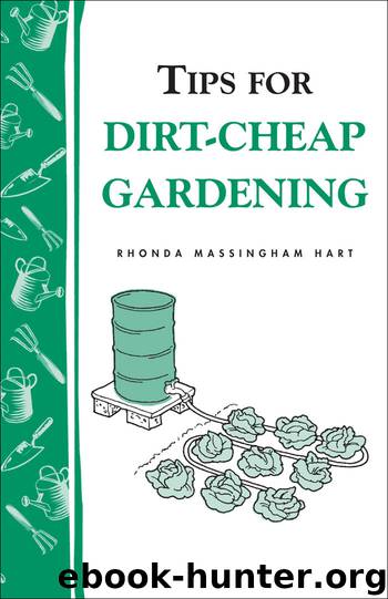 Tips for Dirt-Cheap Gardening by Rhonda Massingham Hart