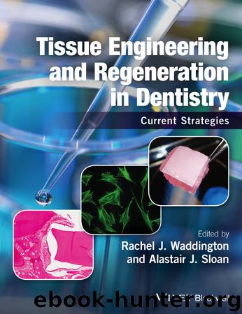 Tissue Engineering and Regeneration in Dentistry by Rachel J. Waddington Alastair J. Sloan & Alastair J. Sloan