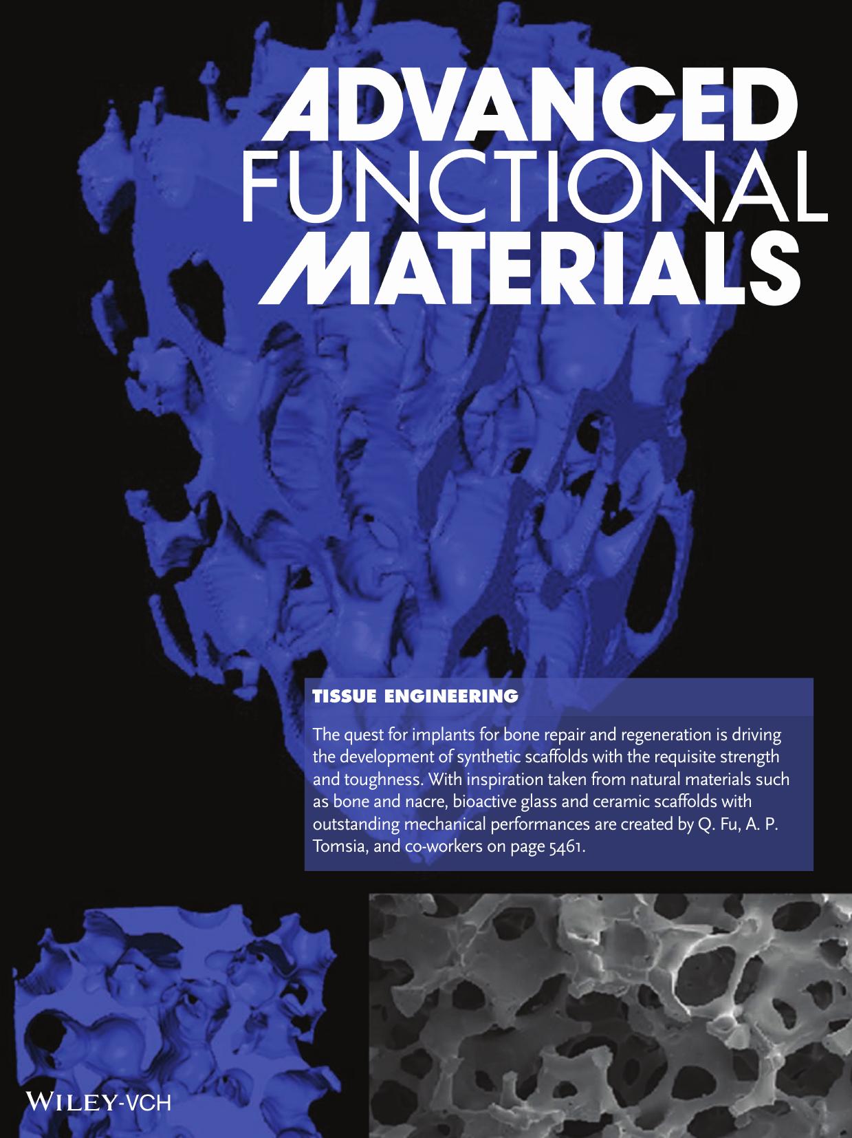 Tissue Engineering: Toward Strong and Tough Glass and Ceramic Scaffolds for Bone Repair (Adv. Funct. Mater. 442013) by Unknown