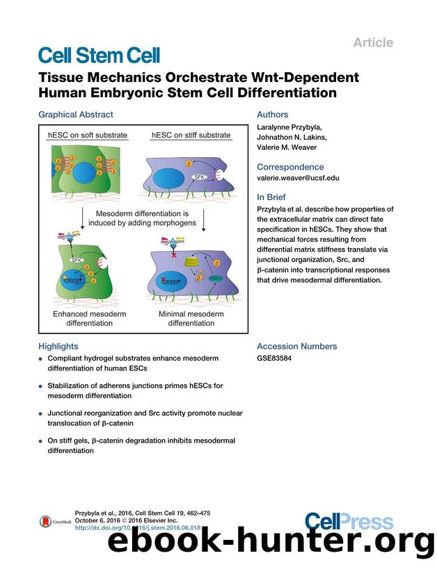 Tissue Mechanics Orchestrate Wnt-Dependent Human Embryonic Stem Cell Differentiation by Laralynne Przybyla & Johnathon N. Lakins & Valerie M. Weaver