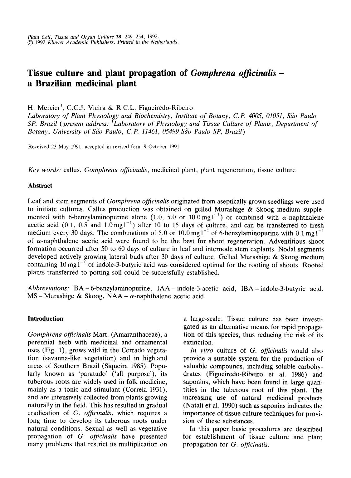 Tissue culture and plant propagation of <Emphasis Type="Italic">Gomphrena officinalis <Emphasis> &#x2014; a Brazilian medicinal plant by Unknown
