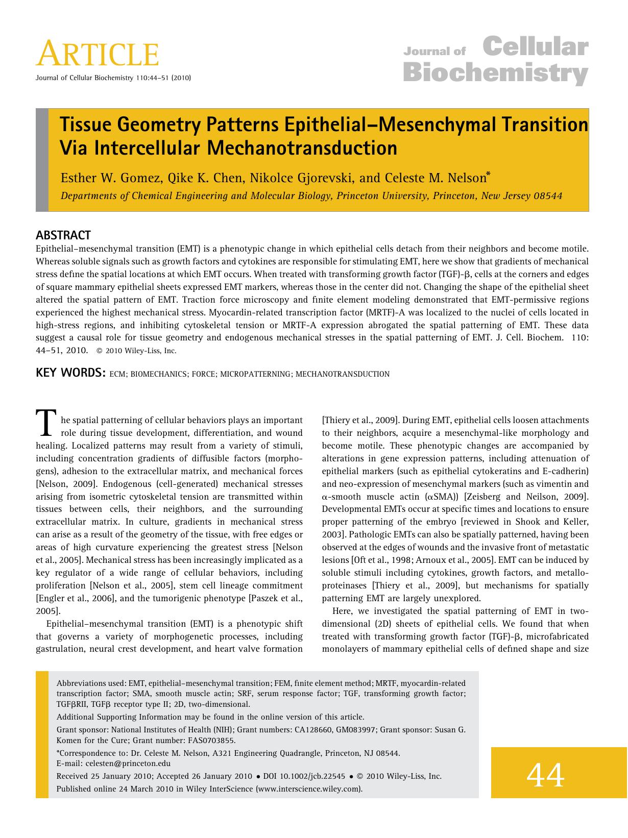 Tissue geometry patterns epithelial?mesenchymal transition via intercellular mechanotransduction by Unknown