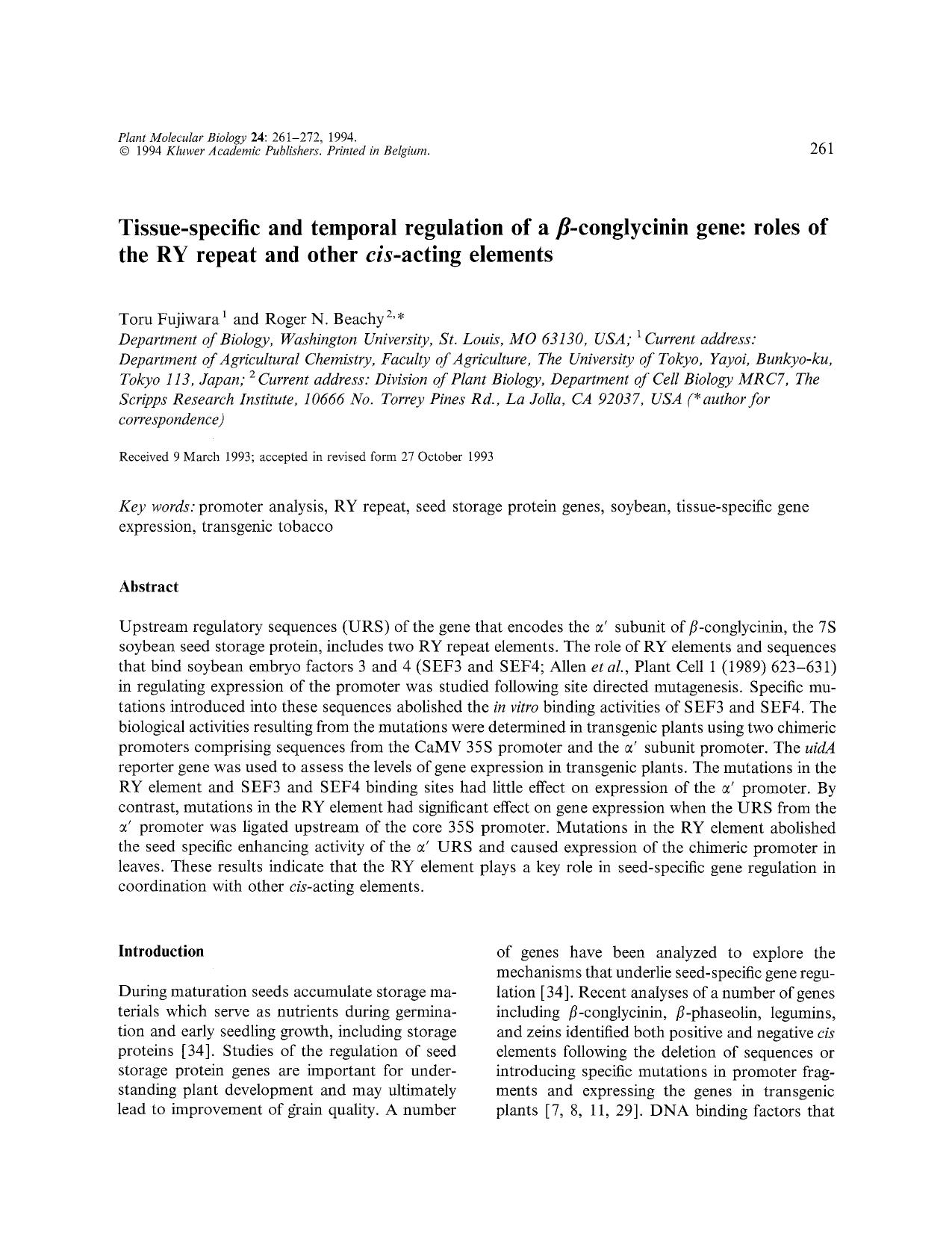 Tissue-specific and temporal regulation of a β-conglycinin gene: roles of the RY repeat and other <Emphasis Type="Italic">cis <Emphasis>-acting elements by Unknown