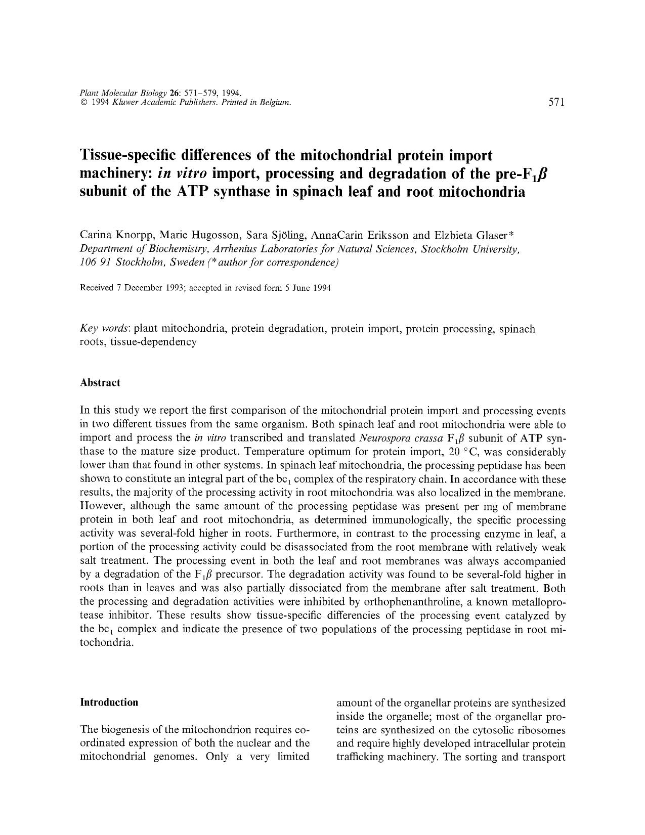 Tissue-specific differences of the mitochondrial protein import machinery: <Emphasis Type="Italic">in vitro <Emphasis> import, processing and degradation of the pre-F <Subscript>1 by Unknown