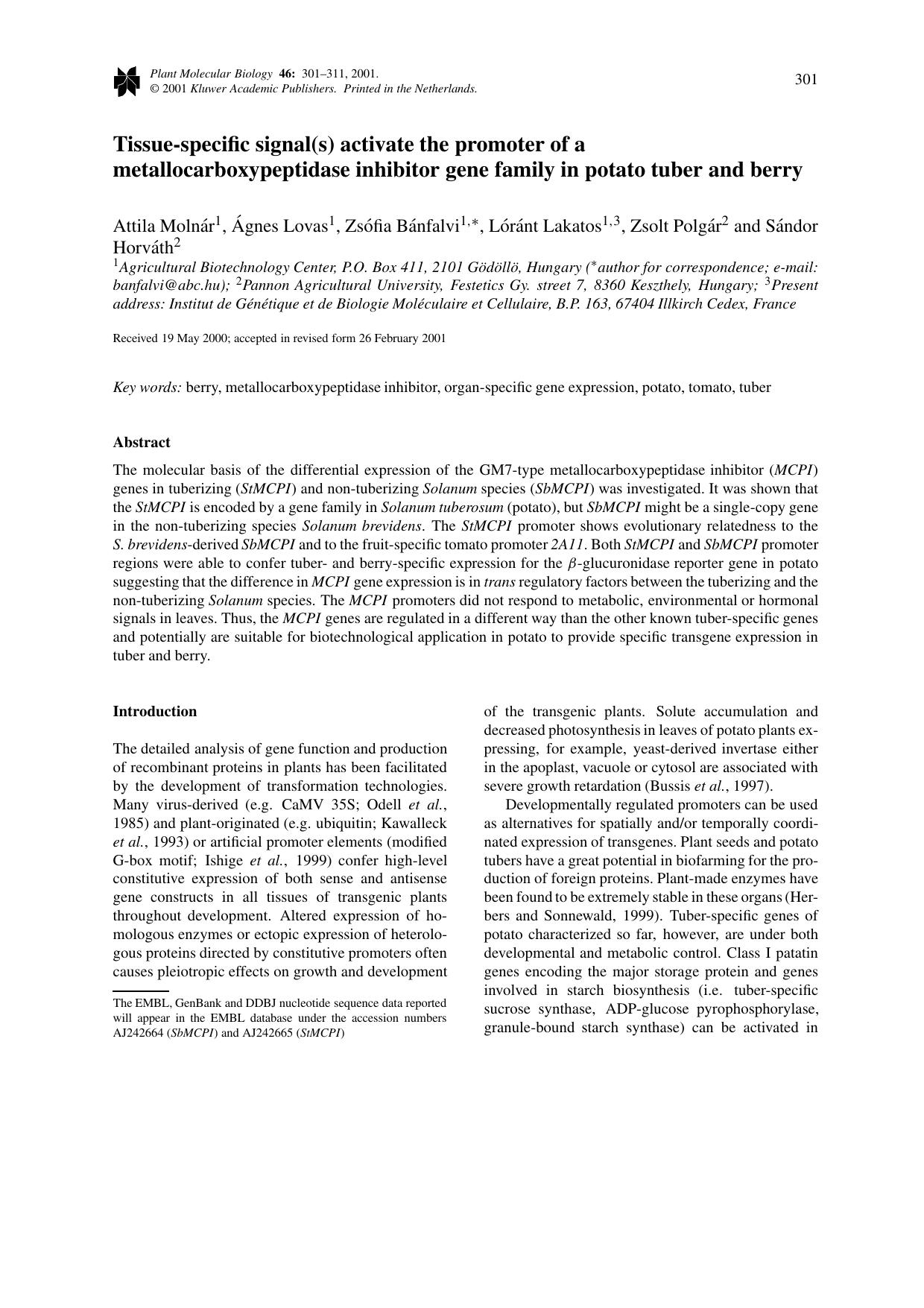 Tissue-specific signal(s) activate the promoter of a metallocarboxypeptidase inhibitor gene family in potato tuber and berry by Unknown