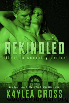 Titanium Security series 5 - Rekindled by Cross Kaylea
