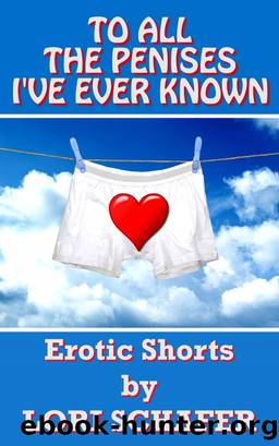 To All the Penises I've Ever Known: Erotic Shorts by Lori Schafer by Lori Schafer