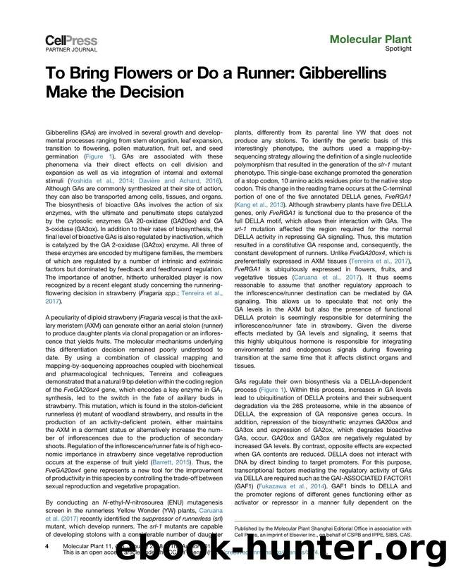 To Bring Flowers or Do a Runner: Gibberellins Make the Decision by Auxiliadora O. Martins & Adriano Nunes-Nesi & Wagner L. Araújo & Alisdair R. Fernie