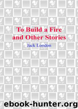 To Build a Fire and Other Stories by Jack London