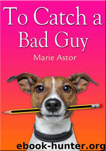To Catch a Bad Guy by Marie Astor