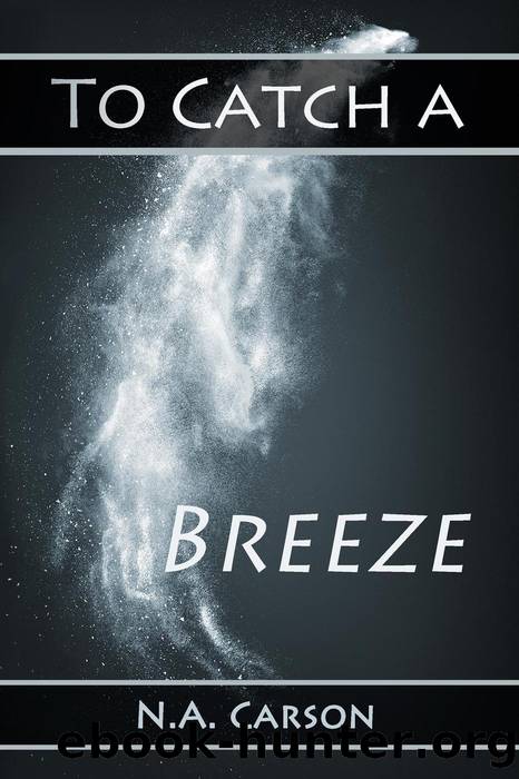 To Catch a Breeze by N.A. Carson