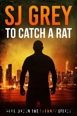 To Catch a RAT: A techno thriller (Darknet series Book 1) by SJ Grey
