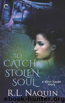 To Catch a Stolen Soul by R.L. Naquin