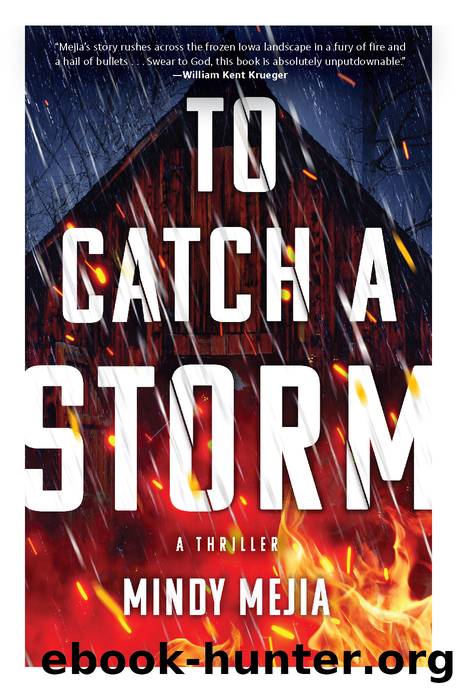 To Catch a Storm by Mindy Mejia