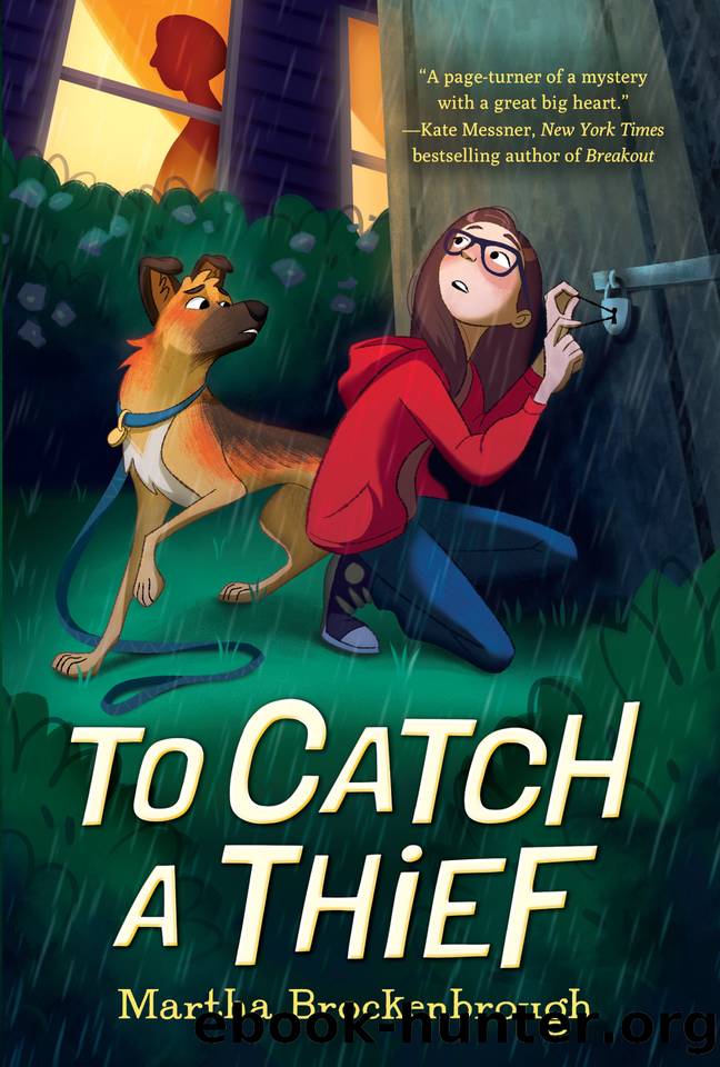 To Catch a Thief by Martha Brockenbrough