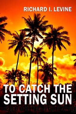 To Catch the Setting Sun by Richard I Levine