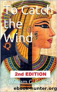 To Catch the Wind by William G Collins