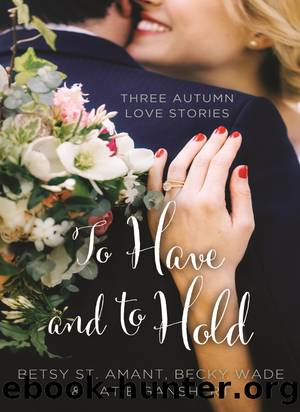To Have and to Hold by Betsy St. Amant