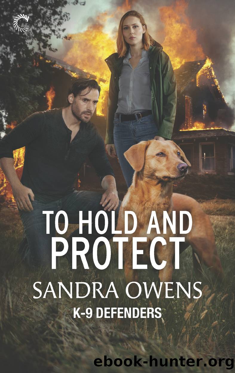 To Hold and Protect by Sandra Owens