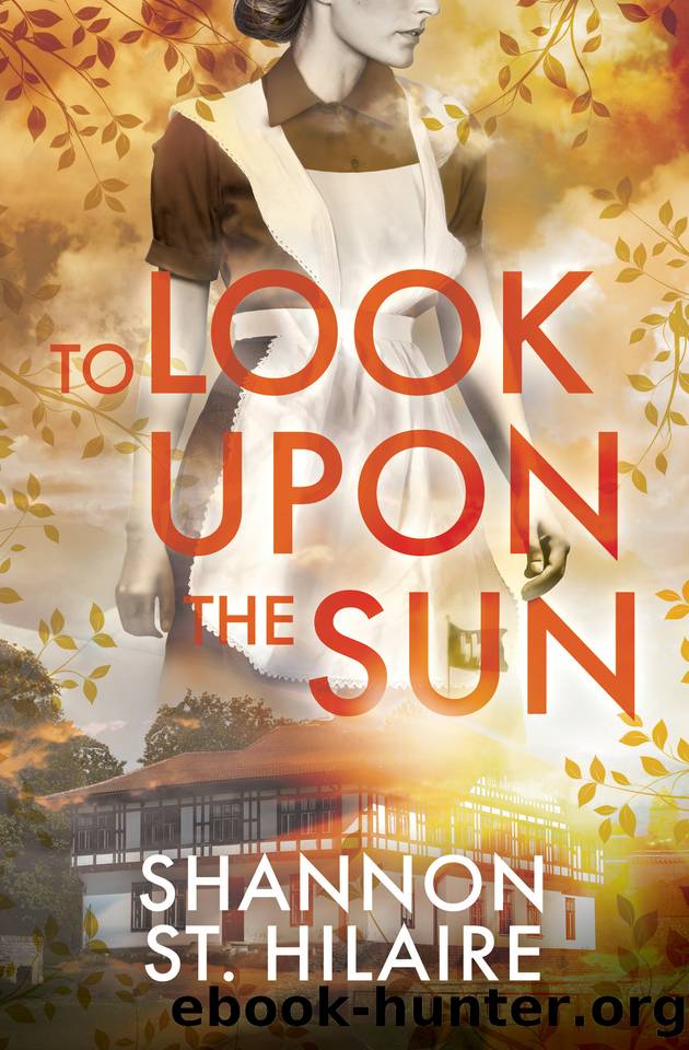To Look Upon The Sun by Shannon St. Hilaire