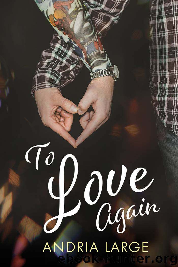 To Love Again by Andria Large