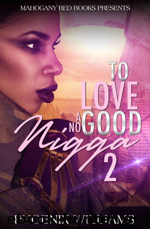 To Love a No Good Nigga 2 by Phoenix Williams