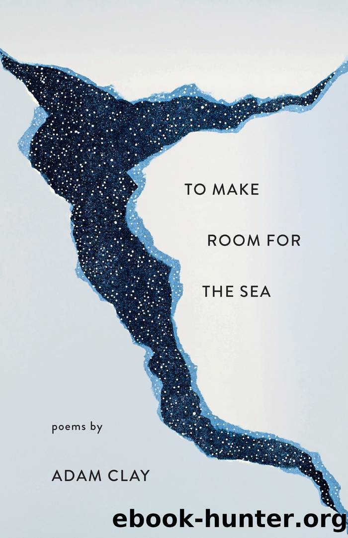 To Make Room for the Sea by Adam Clay