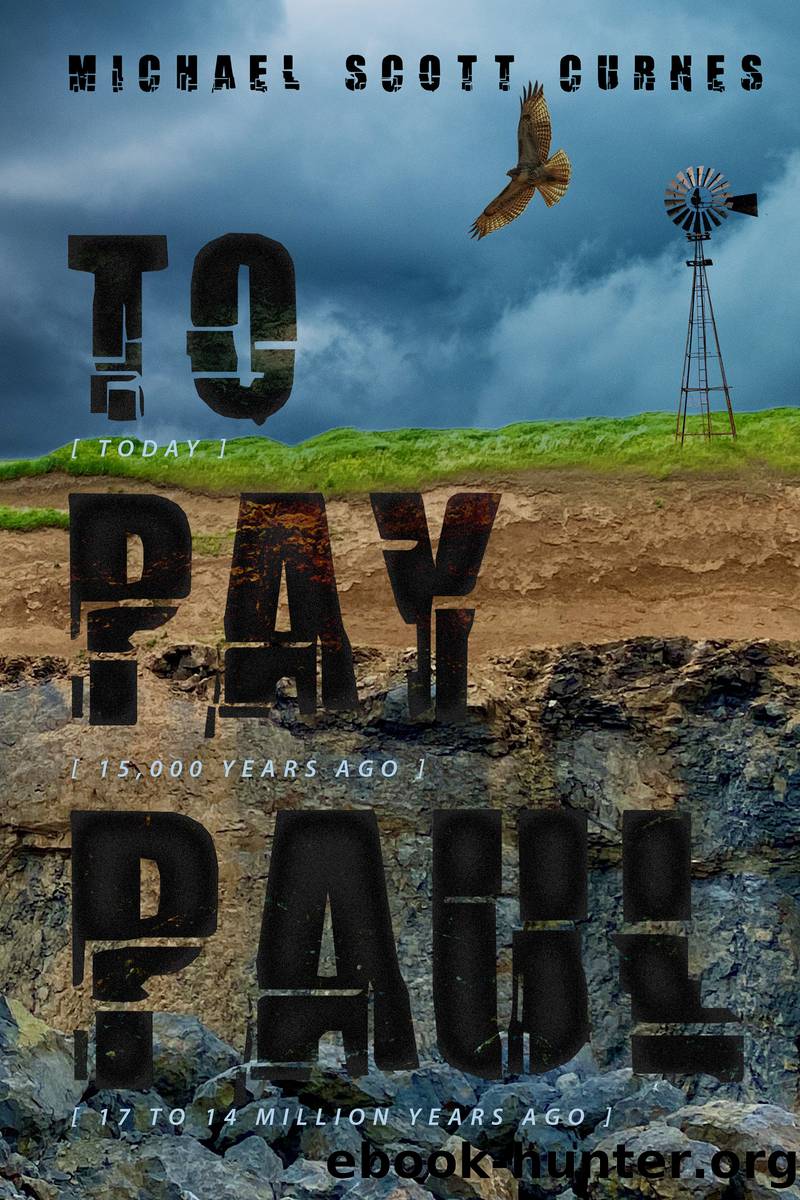 To Pay Paul by Michael Scott Curnes